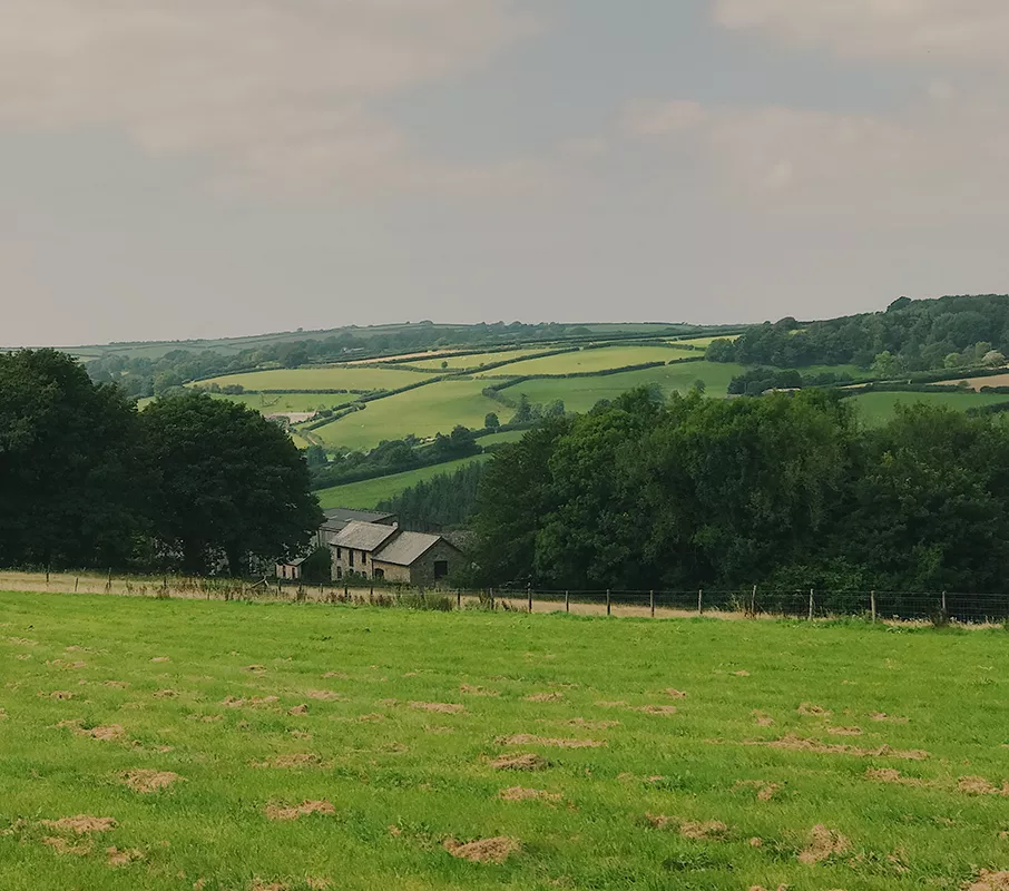 Rural & Residential